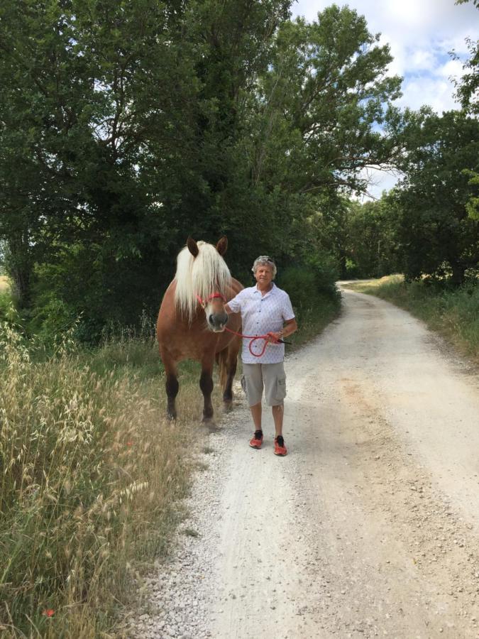 B&B Et Gite D'Ayran Saint-Quentin-la-Poterie Esterno foto