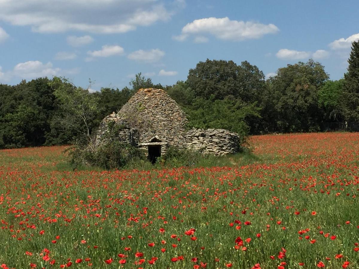 B&B Et Gite D'Ayran Saint-Quentin-la-Poterie Esterno foto