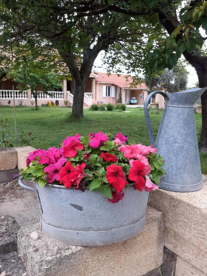 B&B Et Gite D'Ayran Saint-Quentin-la-Poterie Esterno foto